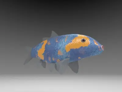 Carp koi fish Low-poly 3D model