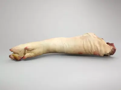 Raw Pig Foot - 3D Scan Low-poly 3D model