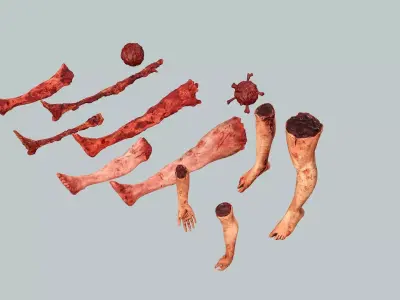 Horror Assets Human Corpse Body Part Collection X5 Pack 3D Model Low-poly 3D model