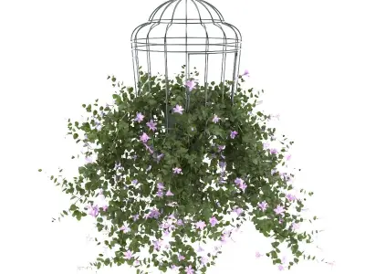 Plant flower in bird cage 3 set 3D model