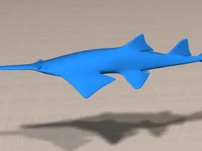 Smalltooth Sawfish - Pristis pectinata - Adult Male Fish -  3D model