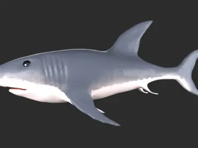 Shark Low-poly 3D model