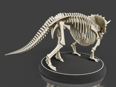 Triceratops Skeleton - Realistic Prehistoric Fossil 3D model