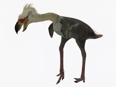 Realistic Phorusrhacos vulture with long beak Low-poly 3D model