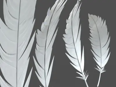 Feathers Set - 7 Assets 3D model