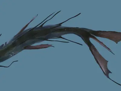 Tropical Fish - Animated - realistic - colorful 3D model