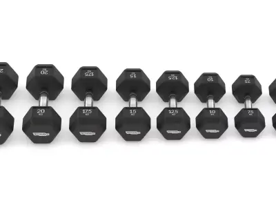 Technogym Hexagon Dumbbell 3D model