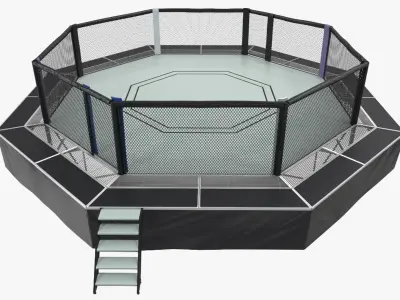 Fighting Octagon Arena 3D Model purchase
