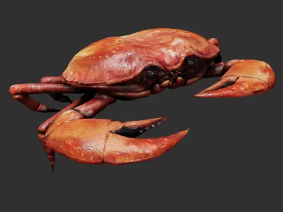 Crab animated walkcycle Low-poly 3D model