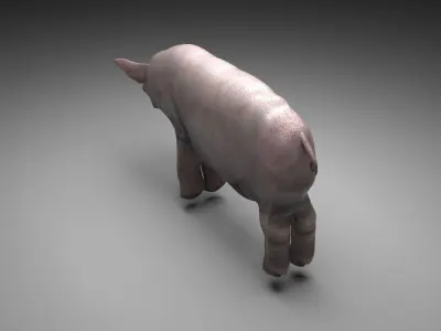 Pig Animal 3D model