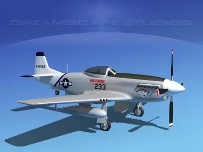 P-51D Mustang Acey-Ducey 3D model
