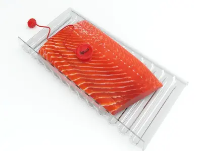 Salmon fillet 3D model