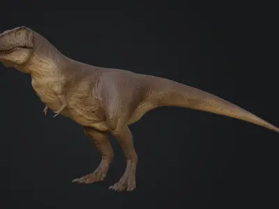 Tyrannosaurus rex Low-poly 3D model