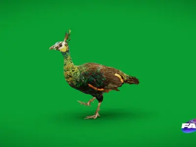 Green Peacock Bird Low-poly 3D model