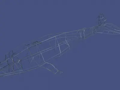Whale Free low-poly 3D model