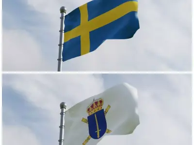 Animated Sweden Flags 3D model