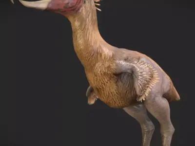 Kelenken V2 Low-poly 3D model