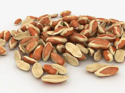 Peanut with Peel Pile 3D model
