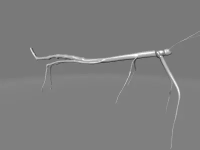 Phryganistria praying mantis 3D model