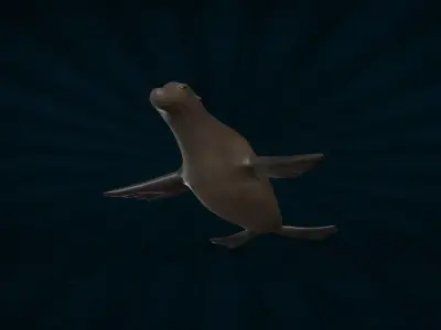 SEAL-001 Rigged Seal 3D model