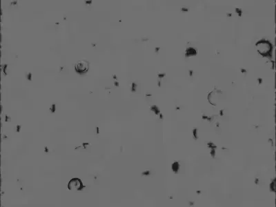 Cute Cartoon Hedgehog 3D Model Low-poly 3D model