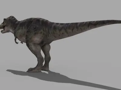 Accurate T Rex 8K - fully animated 3D model