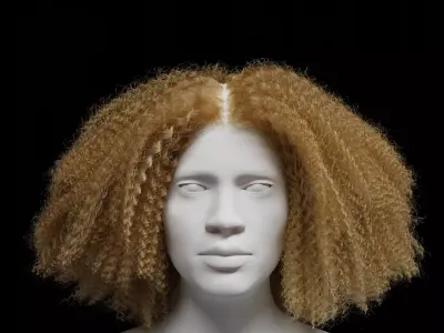 Middle Part Curls 3D model