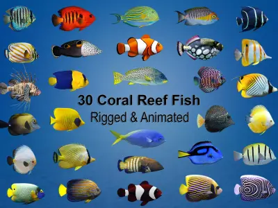 Coral Reef Fish Collection Animated - Game Ready pack 1 Low-poly 3D model