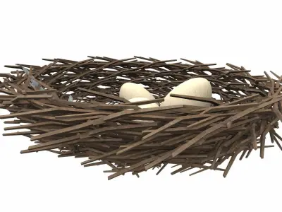 Bird nest v1 3D model