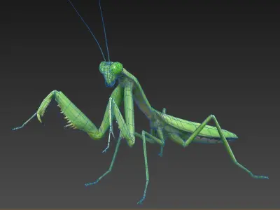 mantis insect Low-poly 3D model