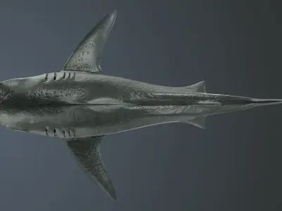 Tiger Shark Low-poly 3D model Low-poly 3D model