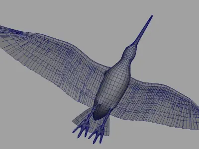 Snipe bird in flight 3D model