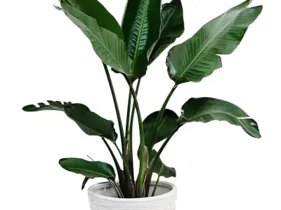 SO MUCH  Low-poly 3D model