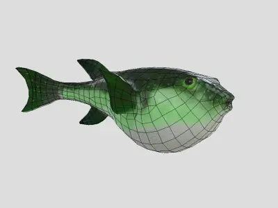 Grass Puffer Realistic Animated Low-poly 3D model