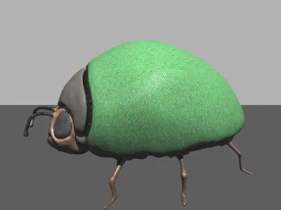 Beetle1 beetle Free 3D model