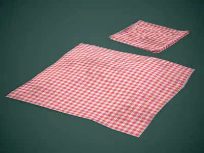 Picnic Cloth Low-poly 3D model