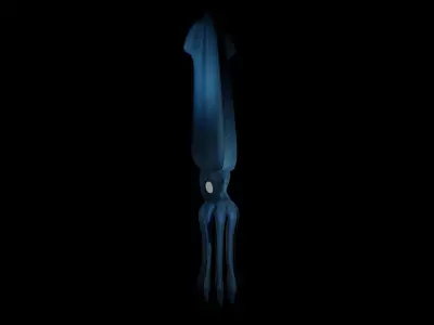 Giant Squid Low-poly 3D model