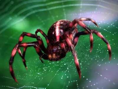 3D Modelnature animal creepy tarantula idle horror arachnid 3D model