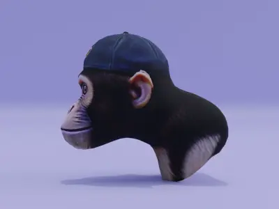Realistic Monkey Head in a Cap Free low-poly 3D model
