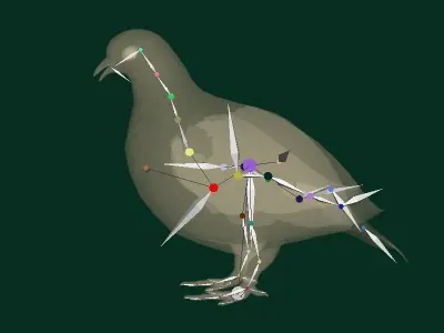 Rock Ptarmigans Bird  Low-poly 3D model