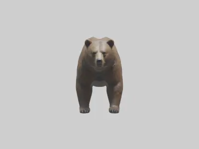 Realistic Bear Model Low-poly 3D model