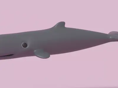 Cartoon Sperm Whale 3D model