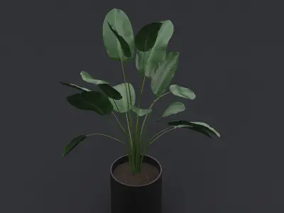 Bird Of Paradise I 3D model
