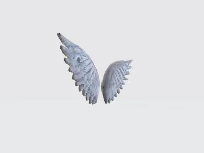 A pair of large detailed angel wings 3D model