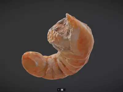 Shrimp Low-poly 3D model