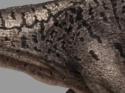 Allosaurus dinosaur Low-poly 3D model