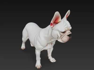 French Bulldog White Dog Realistic 3D Model - Low Poly Realistic Low-poly 3D model