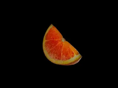 Orange Slice 3D model