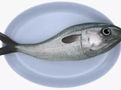 plate of rawfish Low-poly 3D model