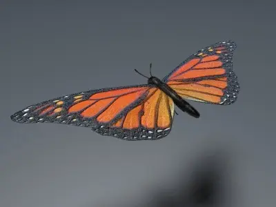 Orange Butterfly 3D model